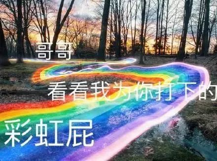 女孩|饭圈女孩现身说法,为什么追星可能是你离“吸毒”最近的一次?