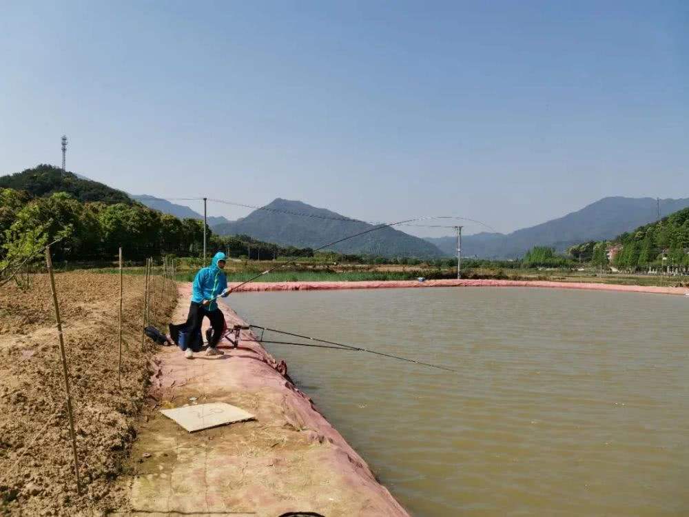 |明明就是新手，到底凭什么能在黑坑爆护