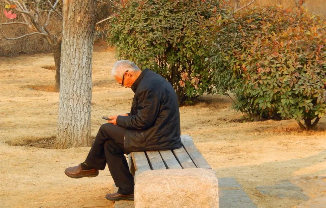 衰老|50岁后，身体具备4个特征，说明你还年轻，身体很健康，易长寿