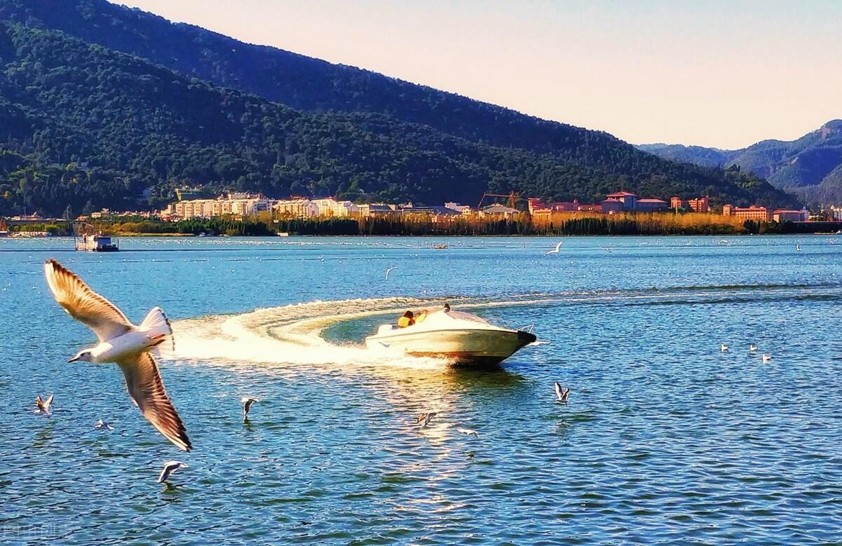 滕州|郭进拴|雨中游滇池