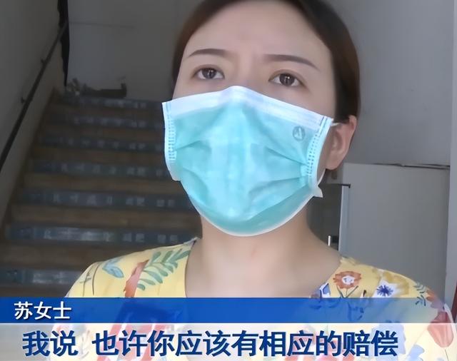出门旅游让朋友帮养猫,结果猫跳楼摔死,女子索赔4500元:门窗没关好