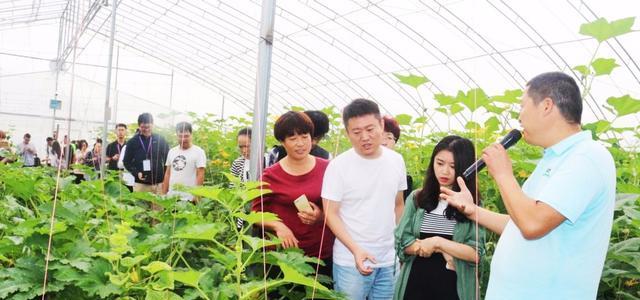 求职|“性格内向”的学生，适合报考的专业，工作相对稳定，不容易失业