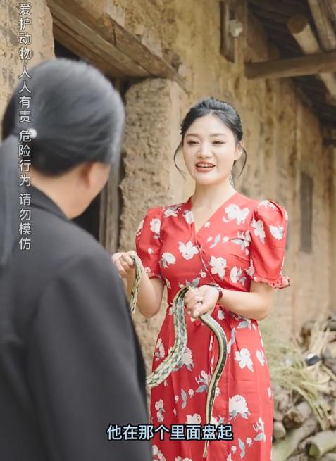 网红唐小鱼徒手捏蛇,放生农田惹争议,网友:这不存心害人吗?