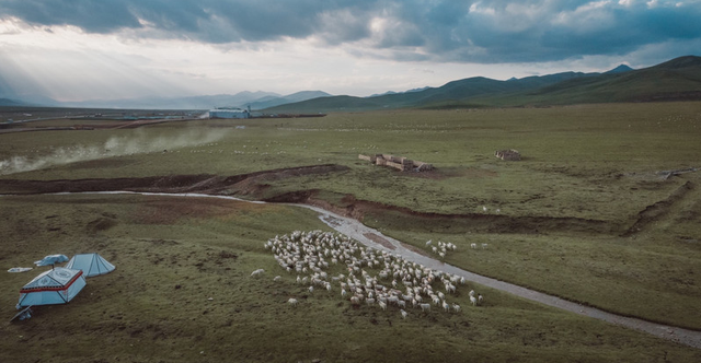 草原|海拔4千米一草原，天高云淡夏如春，还入选《中国国家地理杂志》
