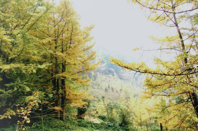 绵竹|创建天府旅游名县|来绵竹这个初秋,有些美好与温暖想与你分享~