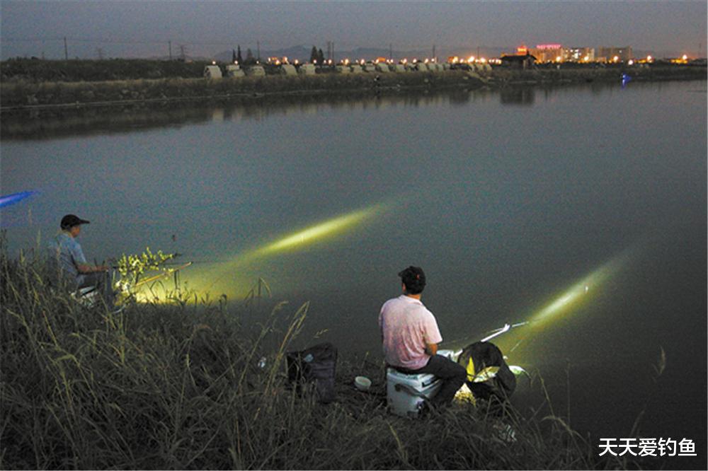 肠胃|夏季钓鲫鱼,钓水草的4大原则,选对了鲫鱼扎堆,错了要“空军”