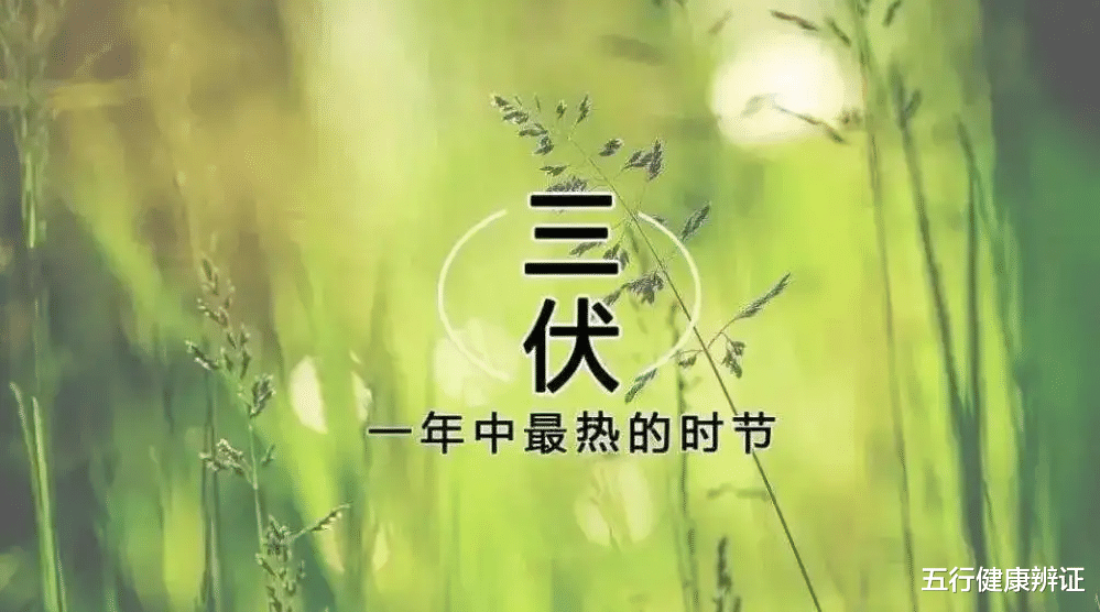 咳嗽|三伏天已到,最耗阳气的3件事别干!中医支四招,守住身体根本!