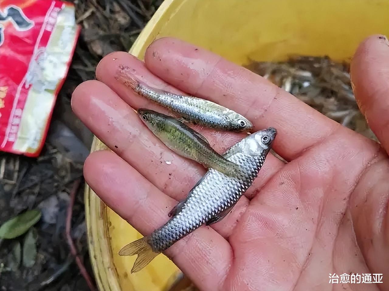 |钓鱼的人，总爱晒这5样东西