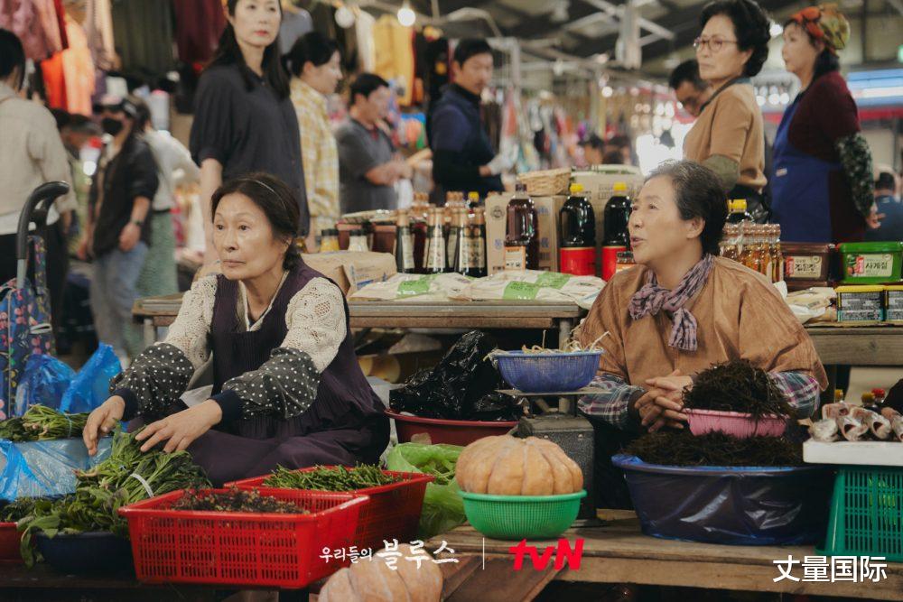 我们的蓝调时光|神仙卡司《我们的蓝调时光》6大看点，你最期待哪对CP的故事？