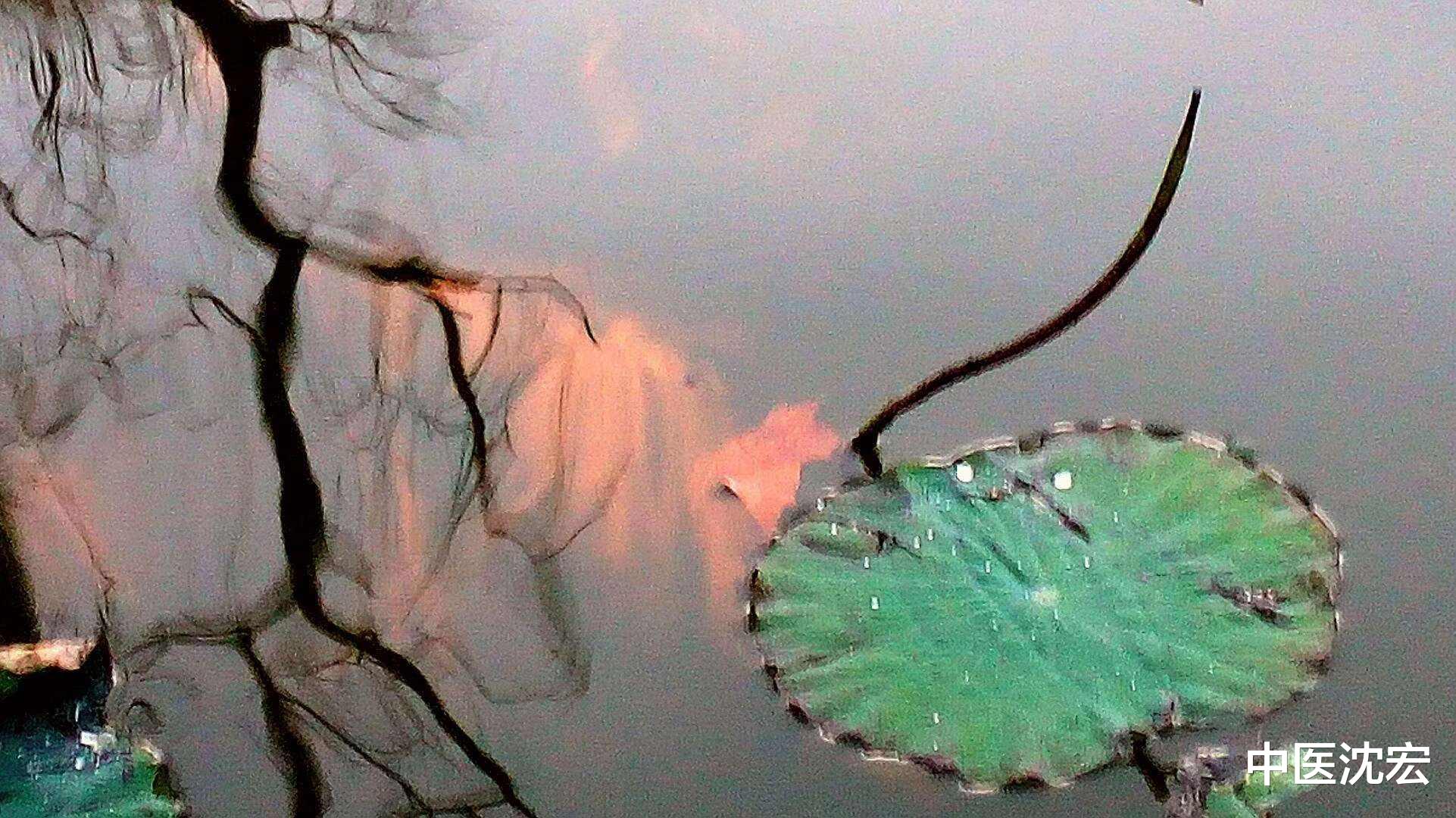 熬夜|秋伤于湿,冬生咳嗽,一个中成药,把体内夏天残留的湿气排出去