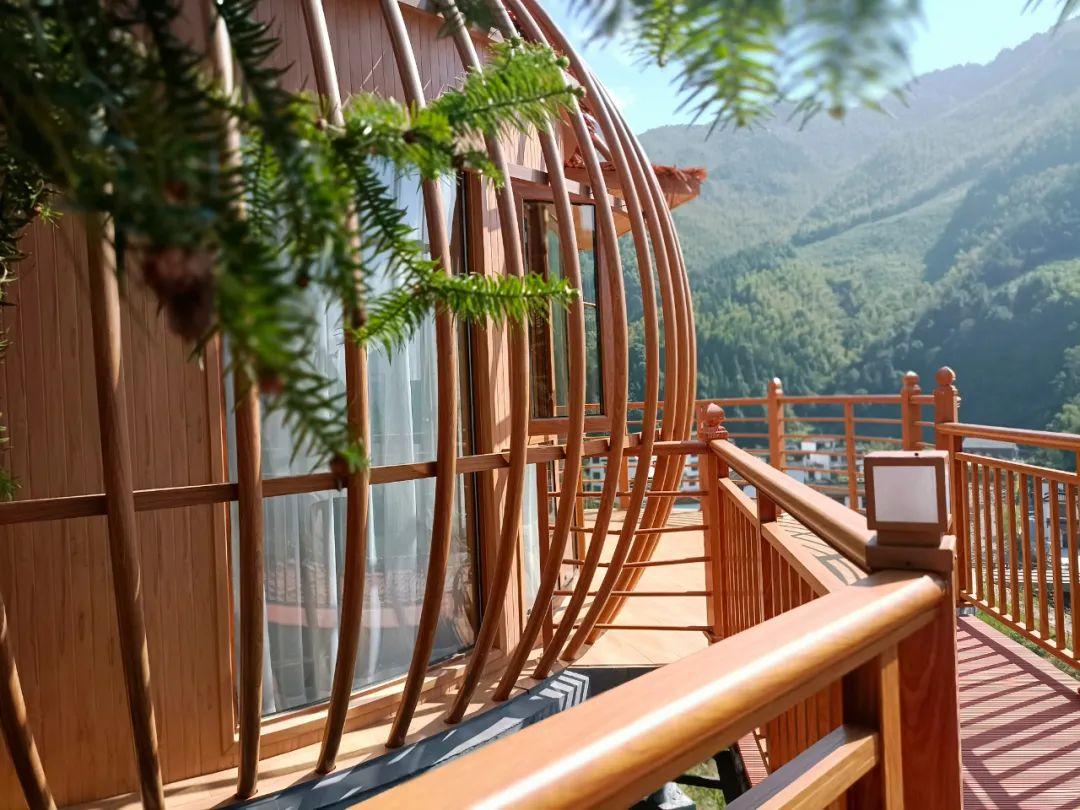 身份证|初冬，这里超萌！