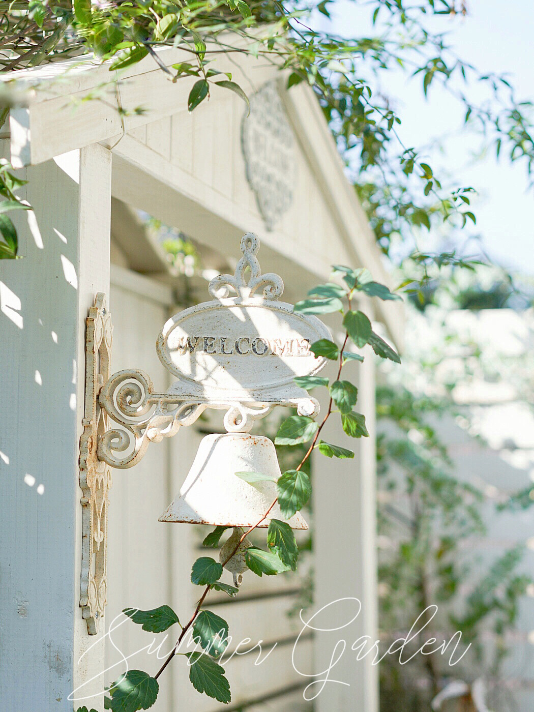 20㎡一楼小院,DIY打造杂货花园,倒腾了一年时间,如今又仙又美