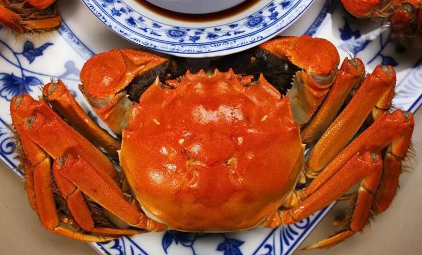 脾胃|医生再三强调：吃完橘子后，尽量少吃这5种食物，希望你能听劝