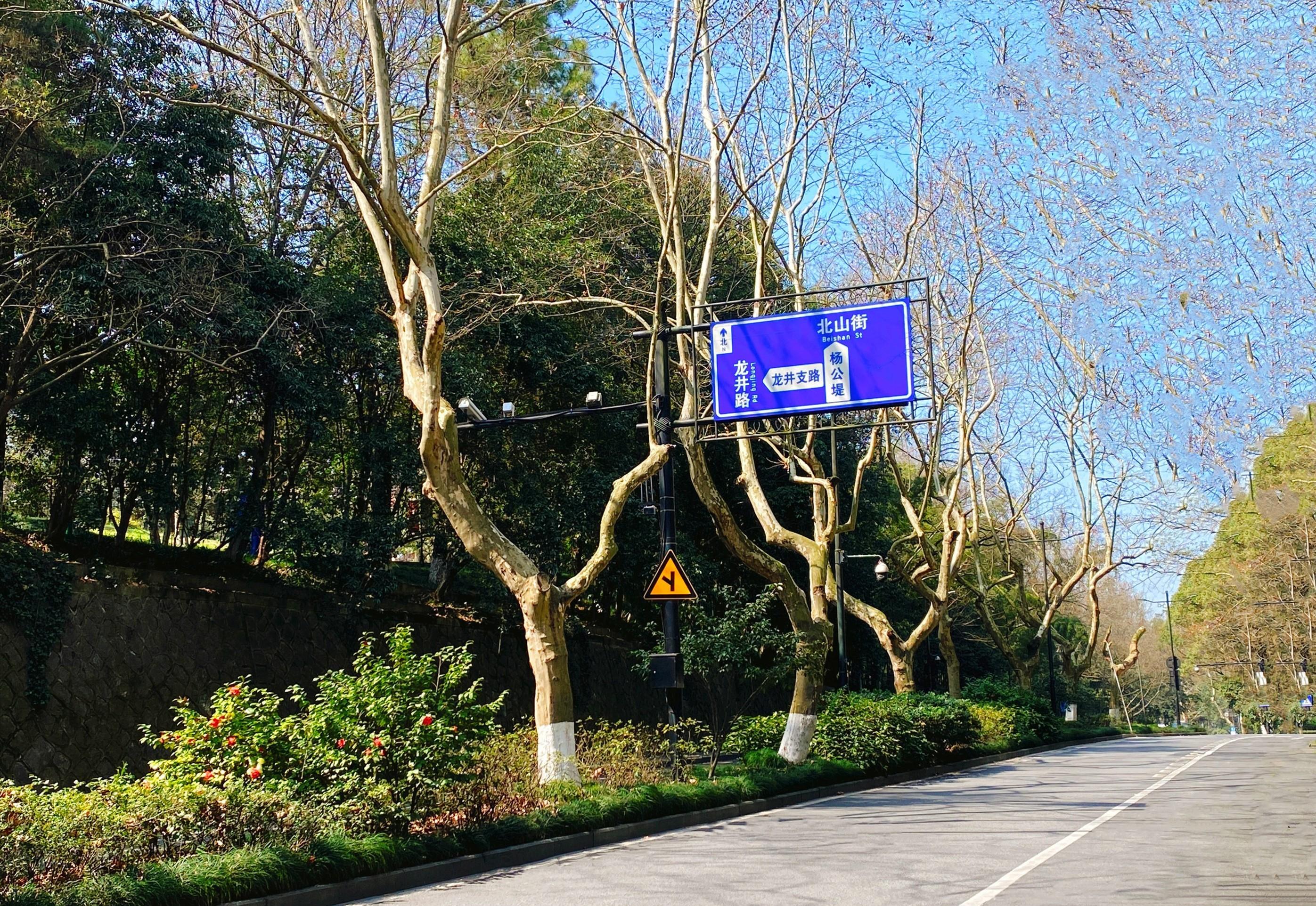 杭州西湖一长堤走红,比苏堤人少适合遛娃赏秋,免费却少有人知