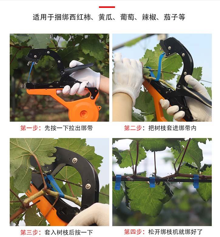 绑蔓机哪种的好用,科普一下绑蔓器的使用方法