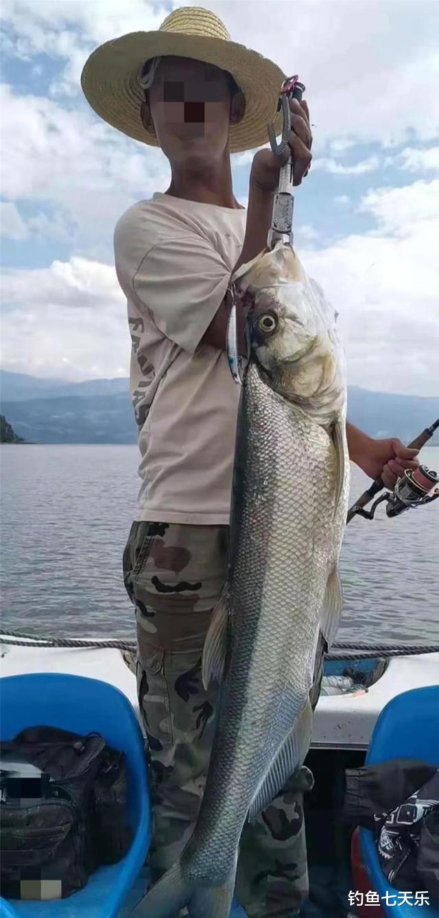 邛海|四川邛海翘嘴鲌泛滥,当地欲征集200人钓捕,天价钓费遭质疑
