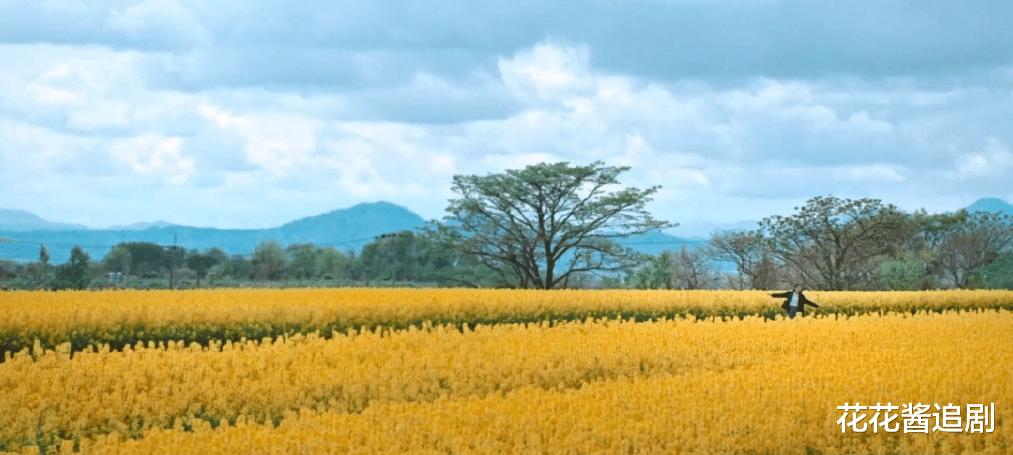 初恋|日剧《初恋》：一流演员三流剧情，靠主演撑着了