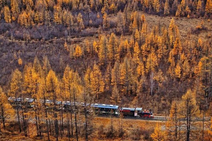 阿尔山|中蒙边界一个没有存在感的小镇,靠一波秋色刷爆连喀纳斯都羡慕!