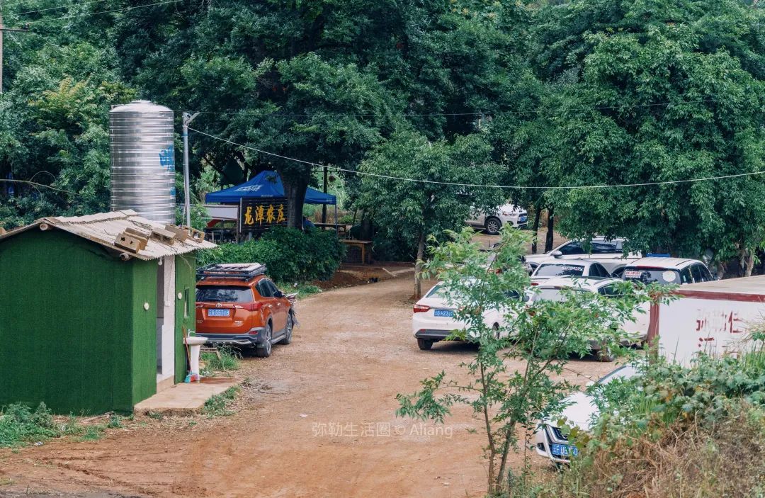 山水画|红河州城外山脚下的农庄，风景美如山水画，荷塘、烧烤、钓鱼，20分钟抵达