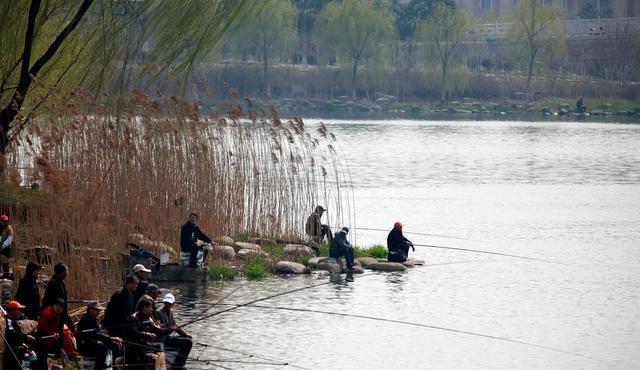 铜陵|春天钓鱼人常用的戳钓，却是野钓鲫鱼杀手锏，大板鲫被接连钓起