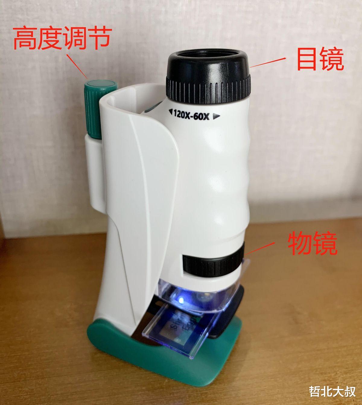 99元显微镜也能探索微生物?一文看懂那些隐藏的奥秘!