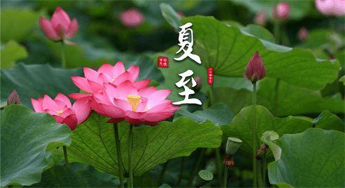 北回归线|二十四节气之夏至