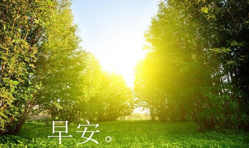 柳叶刀|早上阳气足，工作效率更高，饿唱饱吹，能量精力高脑子清醒灵光