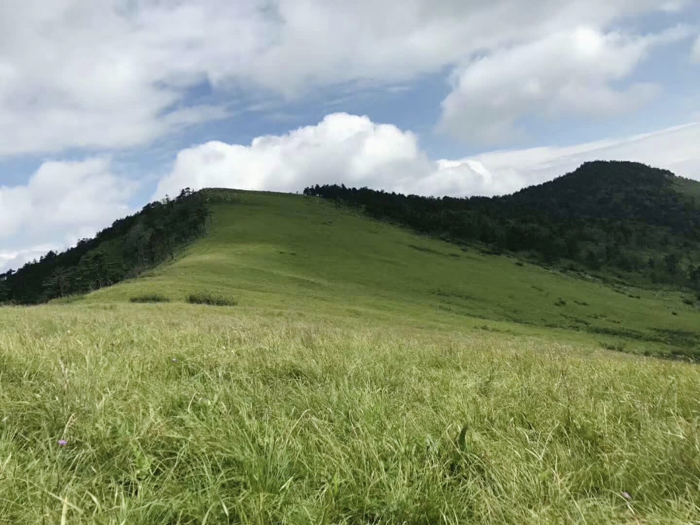 火山岛|西安最西边的峪口,一脚踩三县,石门竟有3000多年历史,周朝凿