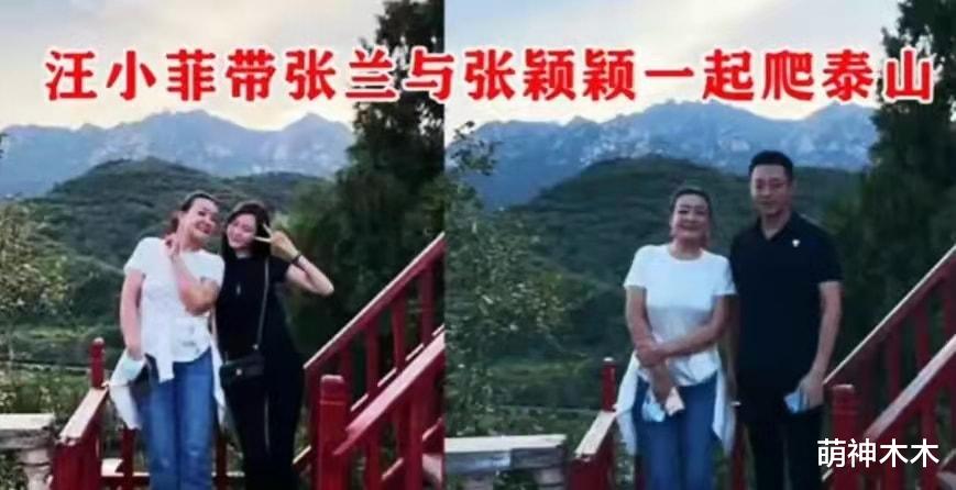 张颖颖|张颖颖在线狂怼汪小菲，直言抛妻弃子的男人不可靠，张兰下场暗讽