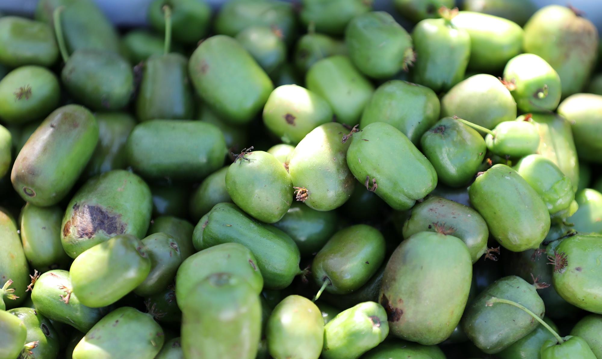 发型 年入20万的美发不干,回乡务农一赔再赔,46岁东北男子咋还坚持?