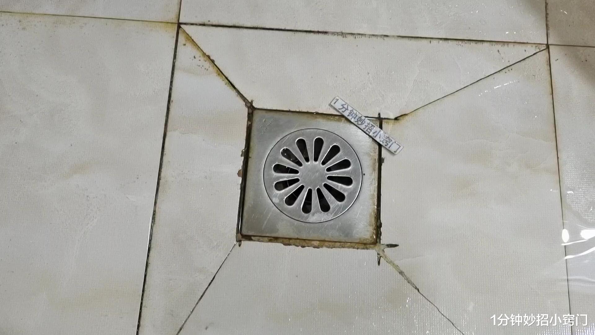 地漏|下水道反味太臭了,一个小窍门轻松解决,方法简单又实用!