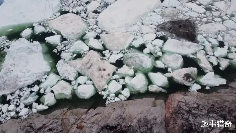 气候变化:格陵兰岛的雪橇犬“被退休”和加速融化的冰盖