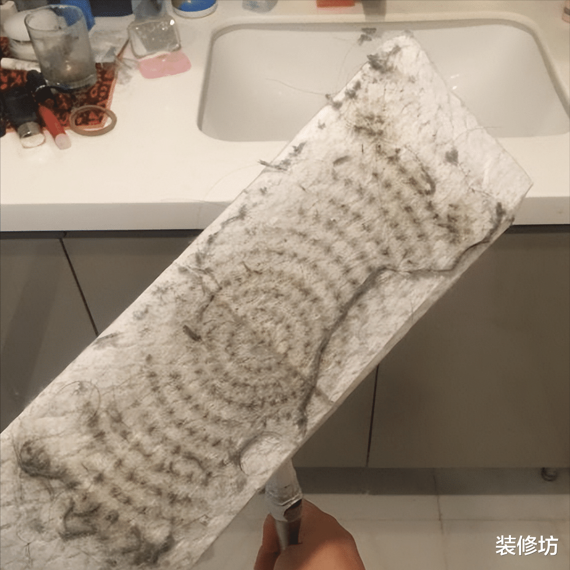 天天扫地，地板毛絮还很多？学会正确做法，毛絮自动消失还干净