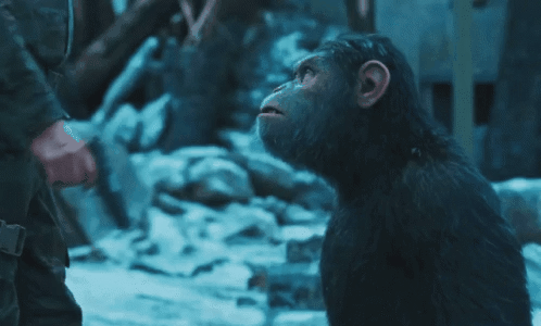 如果地球上所有生物都开始反抗人类,届时人类能否撑过一天?