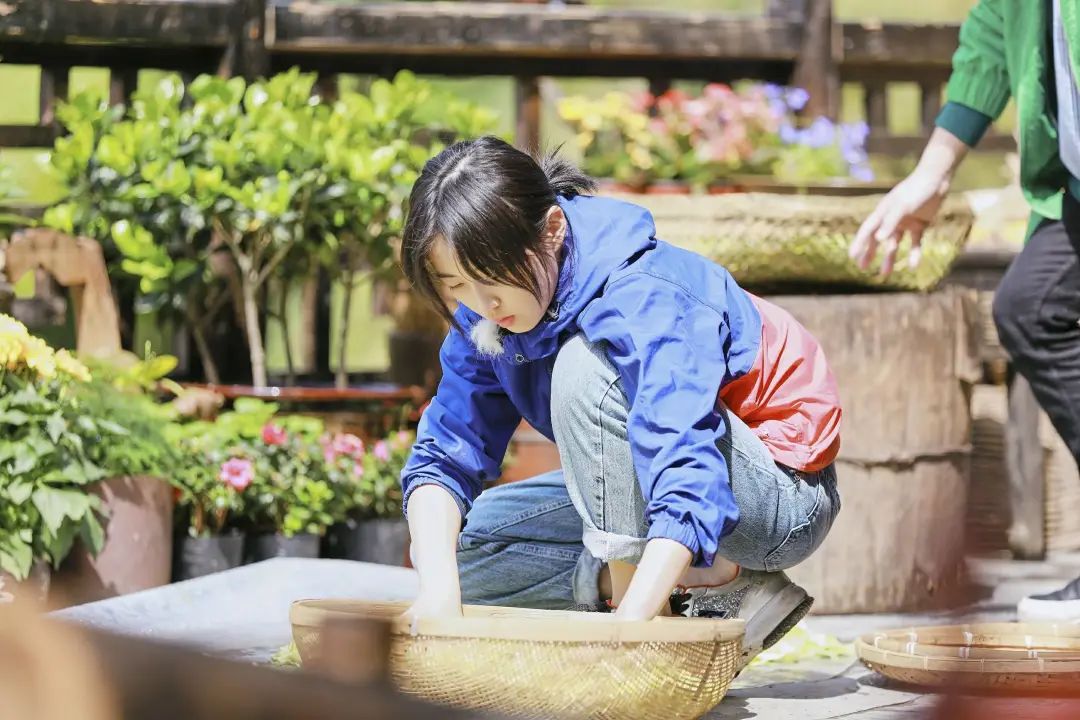 张子枫|张子枫盗图，玩艺人特权，将成为女版四字？