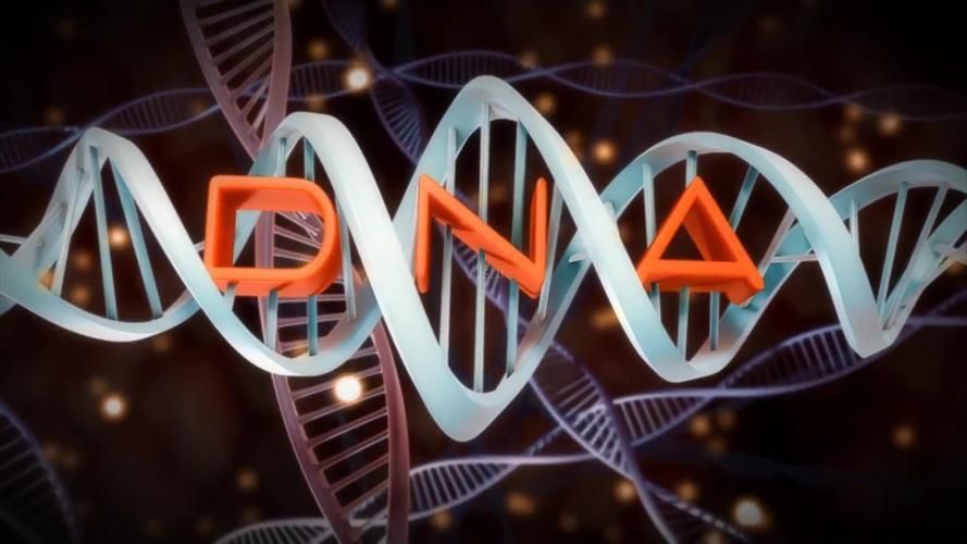 长寿|寿命“藏”在脸上？长寿的人脸上或有这5个特征，占一样也恭喜