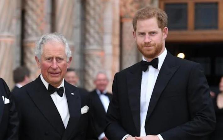 欧美明星|查尔斯苦心缓和父子情,哈里不愿做出退让,梅根失落感只增不减