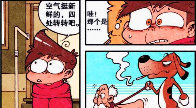 阿星|“少女之星”让奋豆心驰神往，阿星：好强壮的姐姐啊！