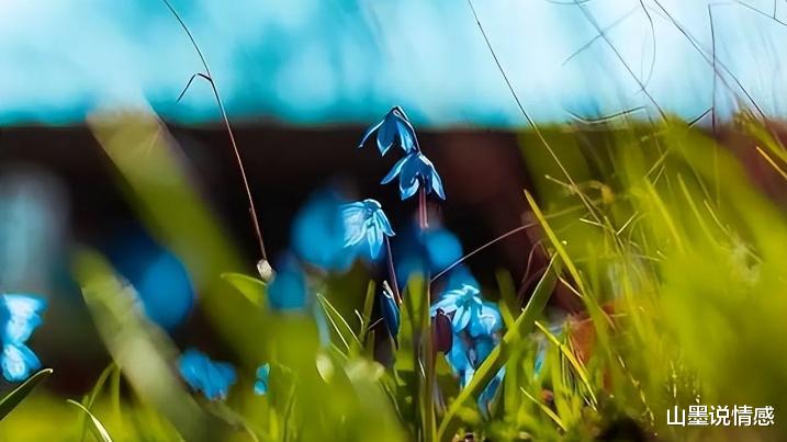 人类的最强武器:弱小和无知