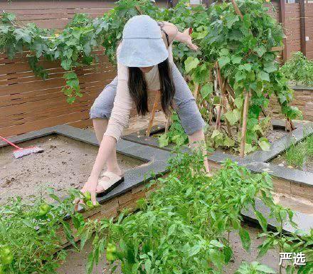 张馨予|张馨予和老公回昆山，陪母亲散步很接地气，素颜的张馨予你打几分
