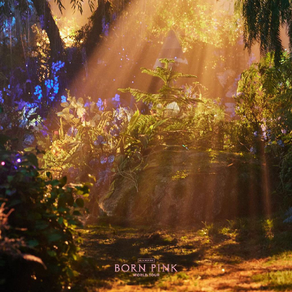 blackpink|BLACKPINK世界巡演海报,梦幻奇特充满寓意,粉丝期待去现场观看