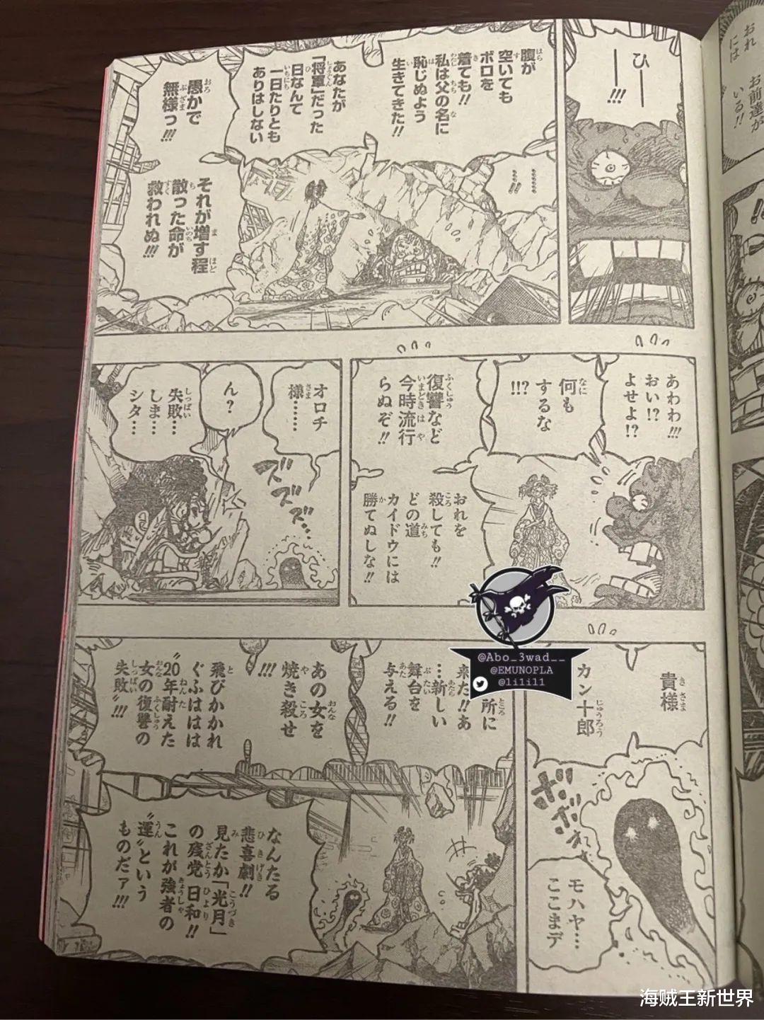 海贼王|海贼王1044话第二次情报更新|全图整理|觉醒的五档！橡胶果实是动物系人人果实幻兽种你能否接受？