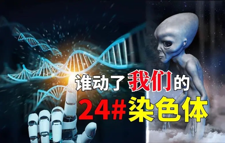 被偷走的24号染色体:人类近亲都是24对染色体,为何人类只有23对?