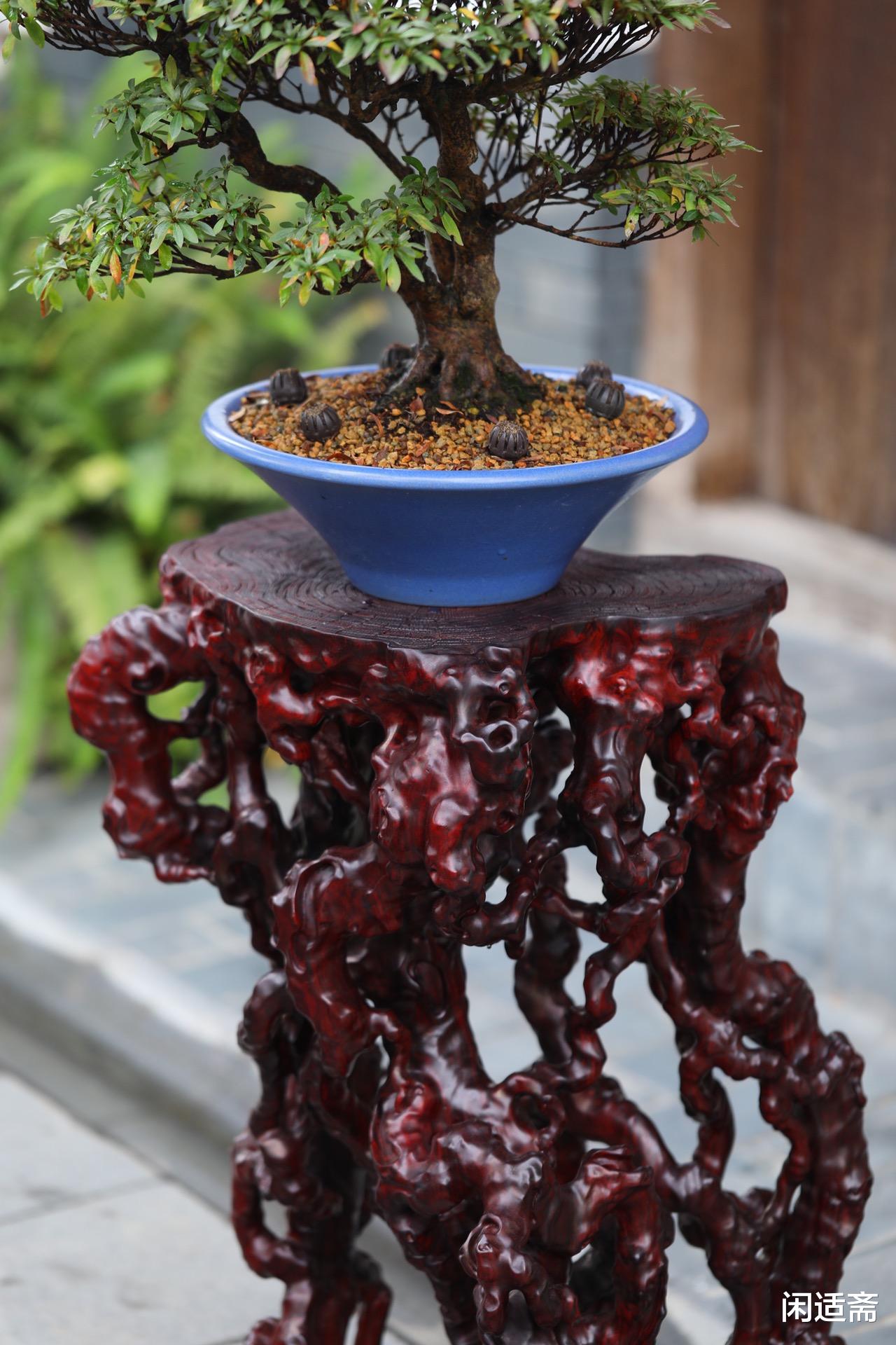 文房|文房雅室清供摆件，小叶紫檀随形大根几