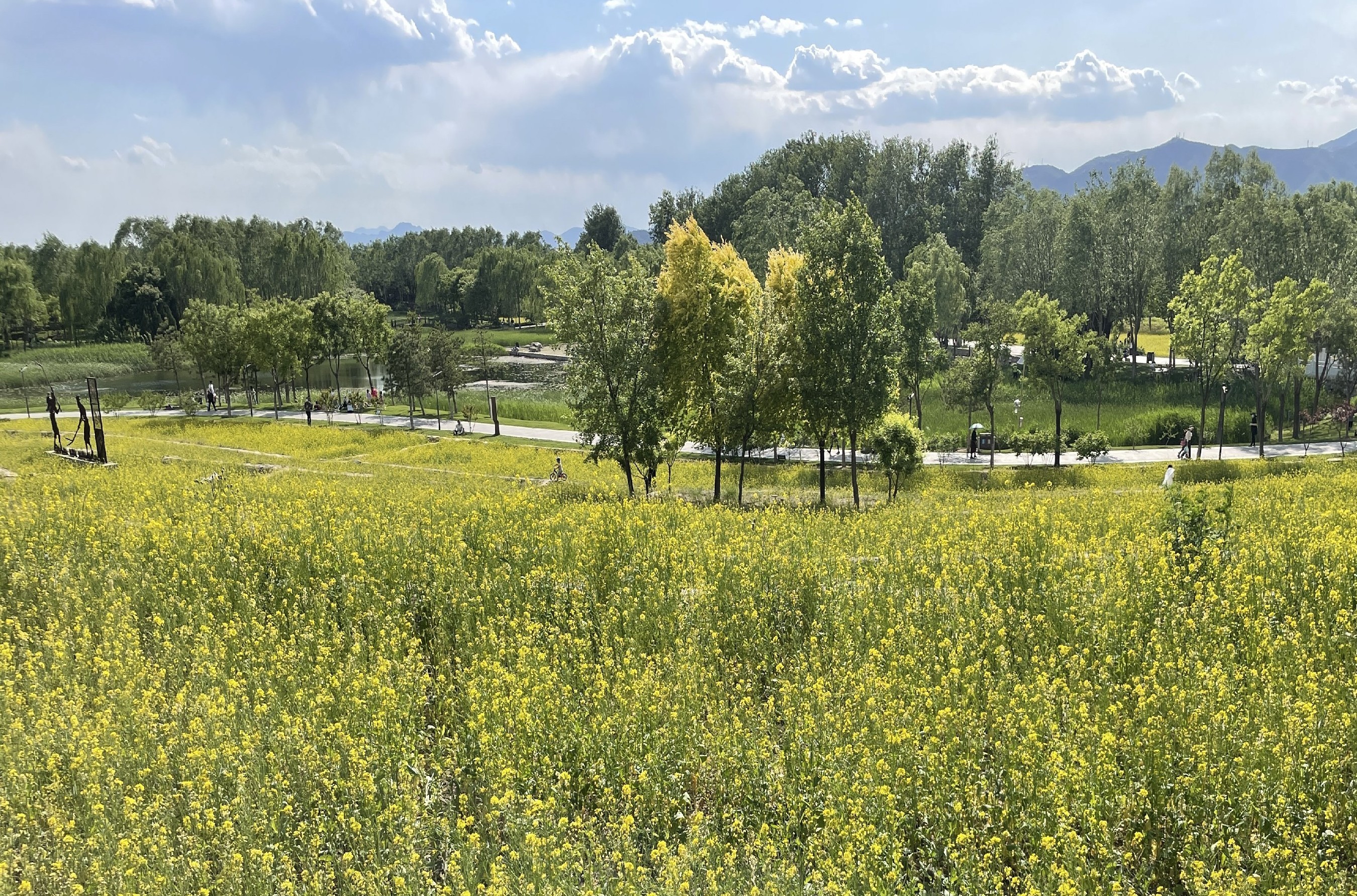 重庆|不早起看到的美景