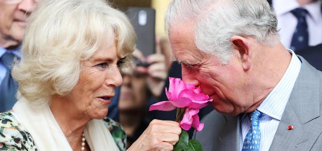 威廉王子|查理三世自我怀疑,心理压力上升,他认为威廉王子更适合做国王!