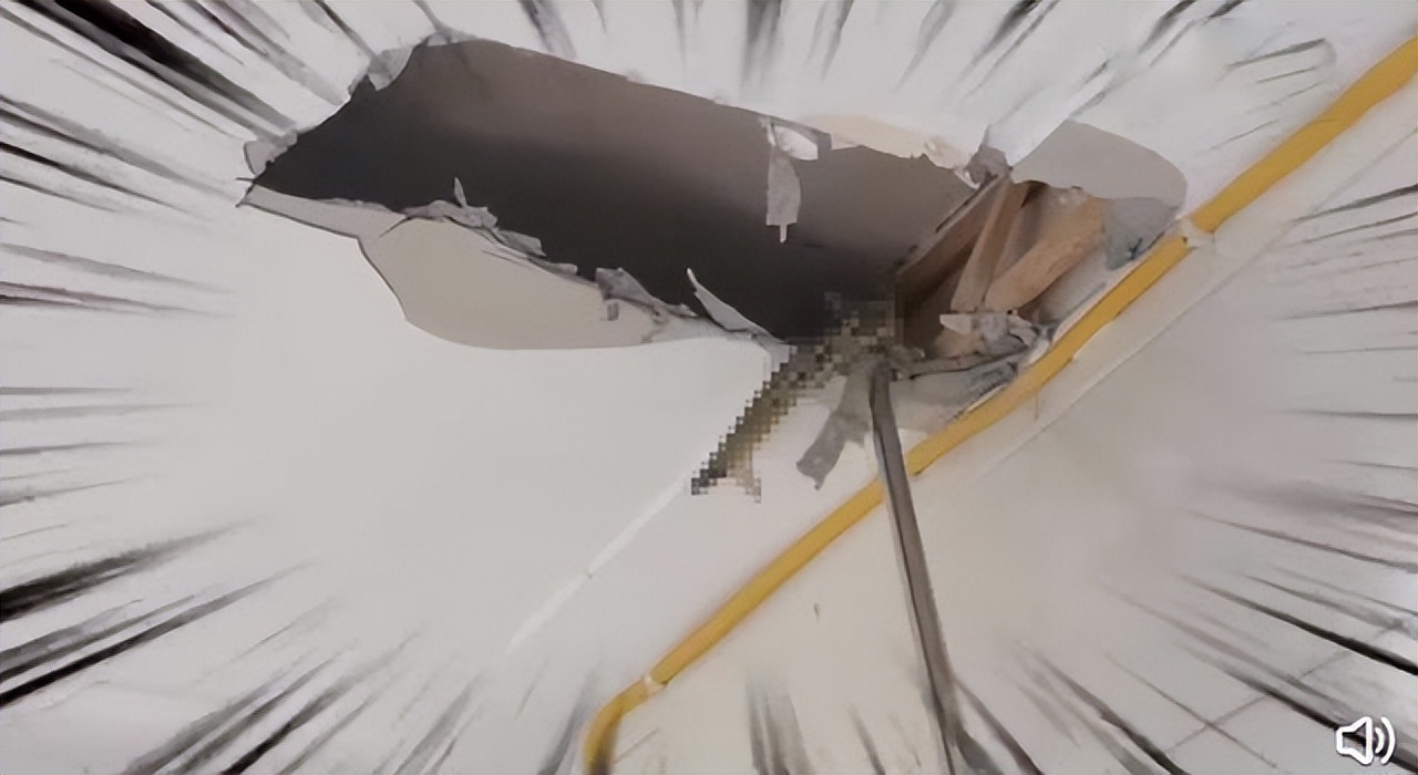 蛇会爬楼?四川某楼房吊顶内发现3条蛇,这么高,蛇怎么上去的?