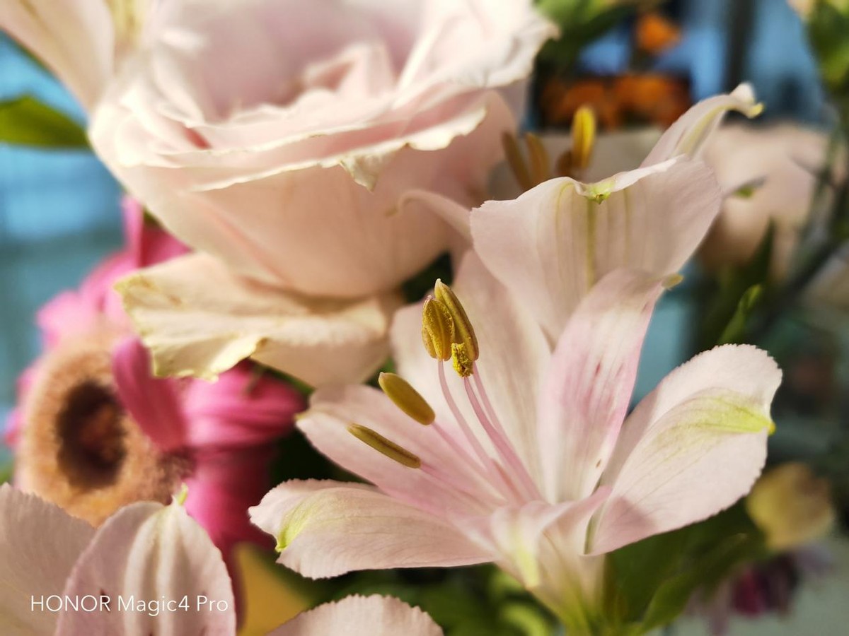 高通骁龙|全面的旗舰应该是怎么样的？荣耀Magic4 Pro：让我来告诉你