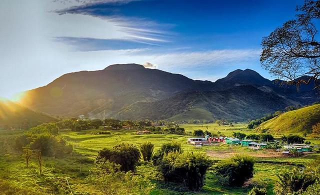 25个保护区,8千个特有物种,大西洋森林的环境为何备受威胁?