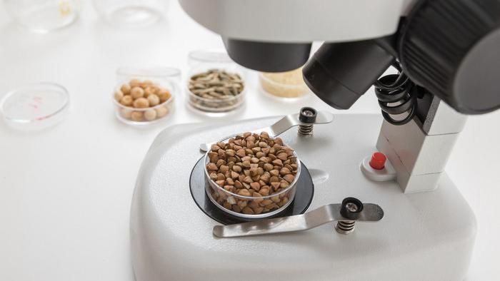 第三方食品检测┃食品检测之感官检验